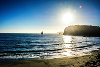 South Coast Trail Olympic National Park, WA © Christy Alejandra Photography