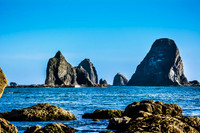 South Coast Trail Olympic National Park, WA © Christy Alejandra Photography