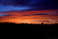 Deer Park, WA© Christy Alejandra Photography